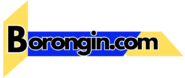 borongin.com